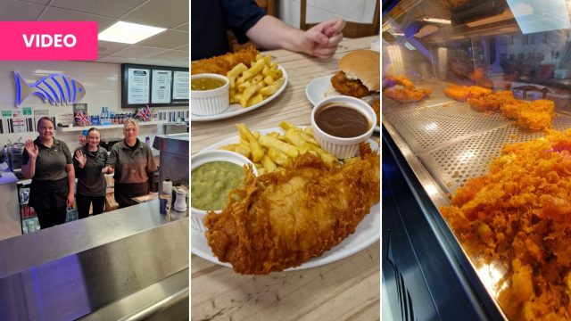 The Funky Fish Nov 2025