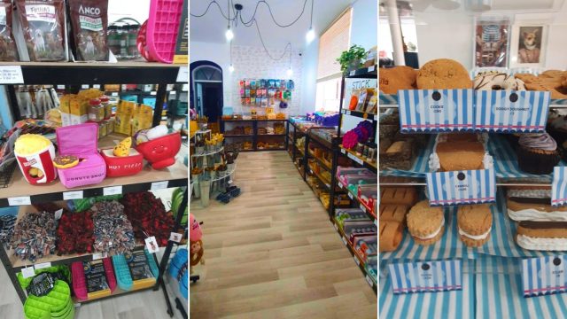 The unique independent pet emporium in Hull's Land of Green Ginger (1)